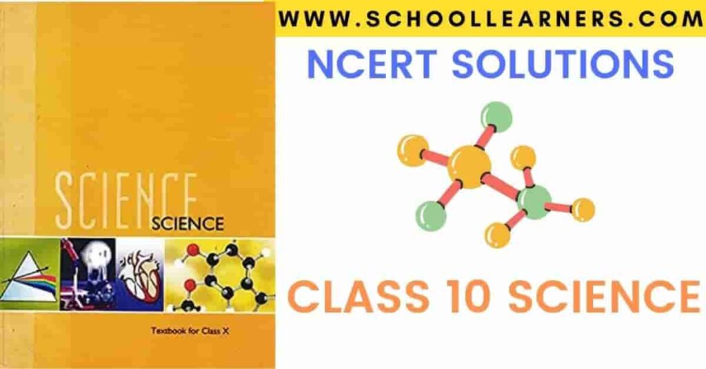 Ncert Solutions for Class 10 Science